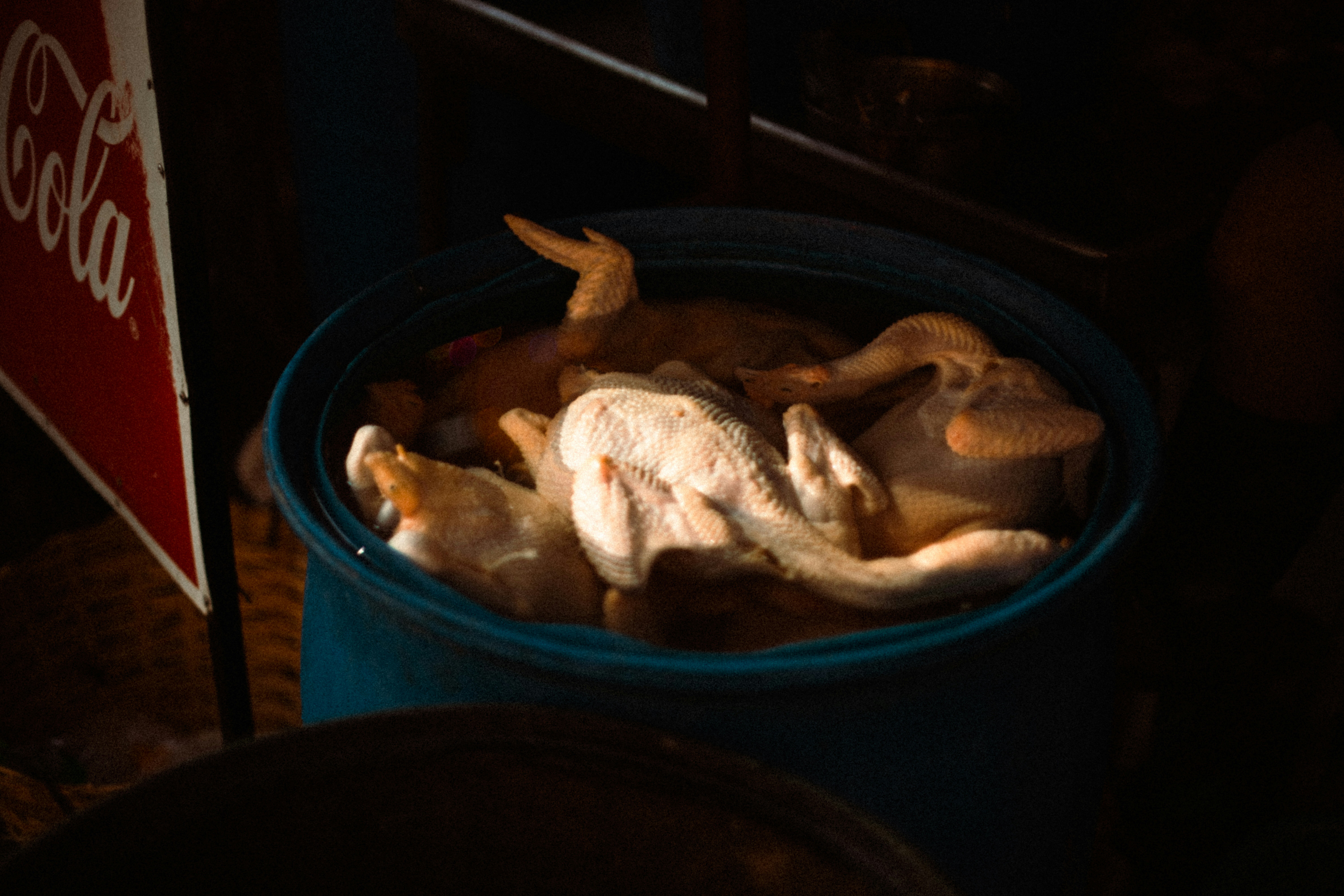 加熱前の鶏むね肉、ブロッコリー、チーズが耐熱容器に入った状態を真上から撮影した写真