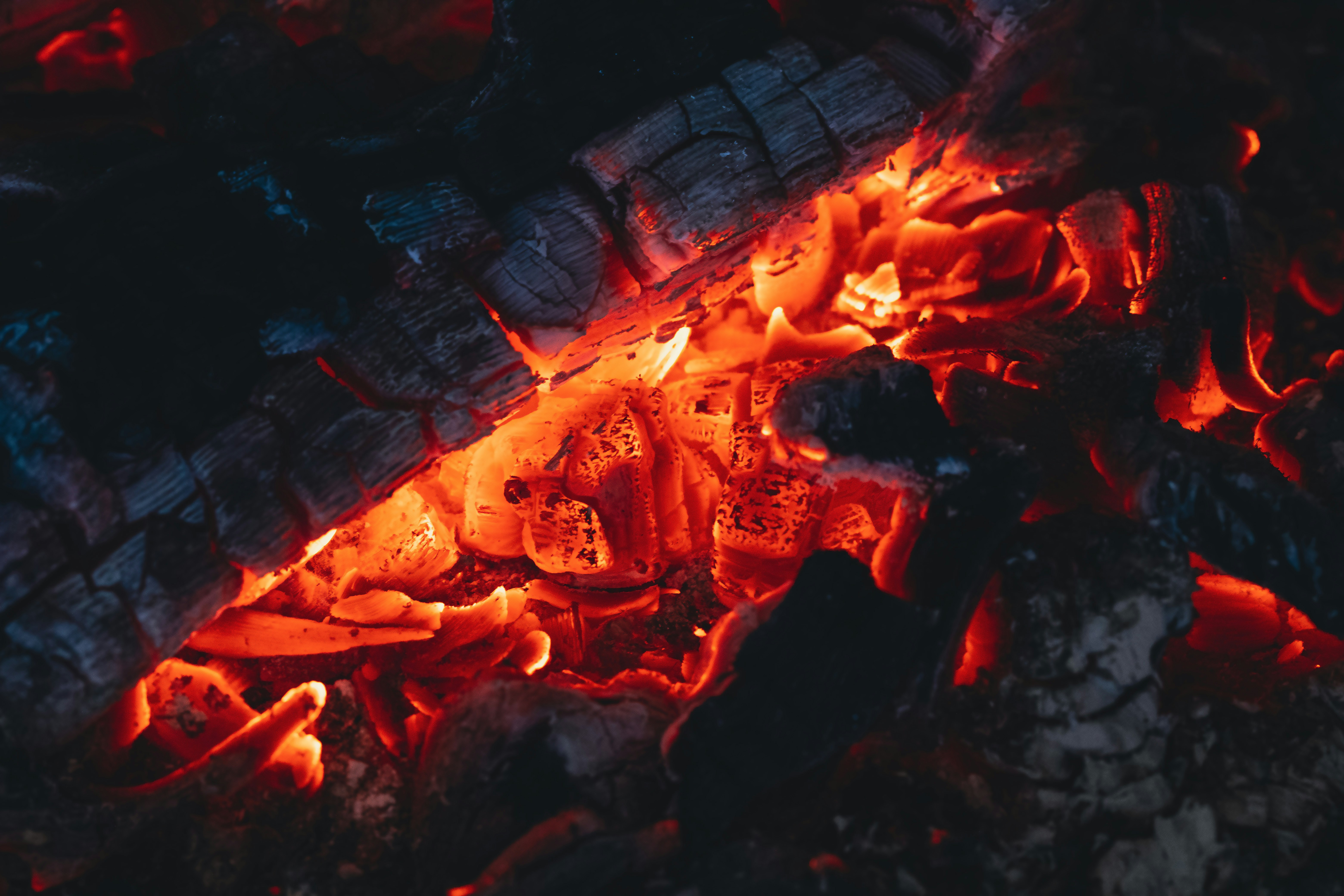 オーブントースターの中で、アルミホイルに包まれた鮭とキノコが焼かれている様子