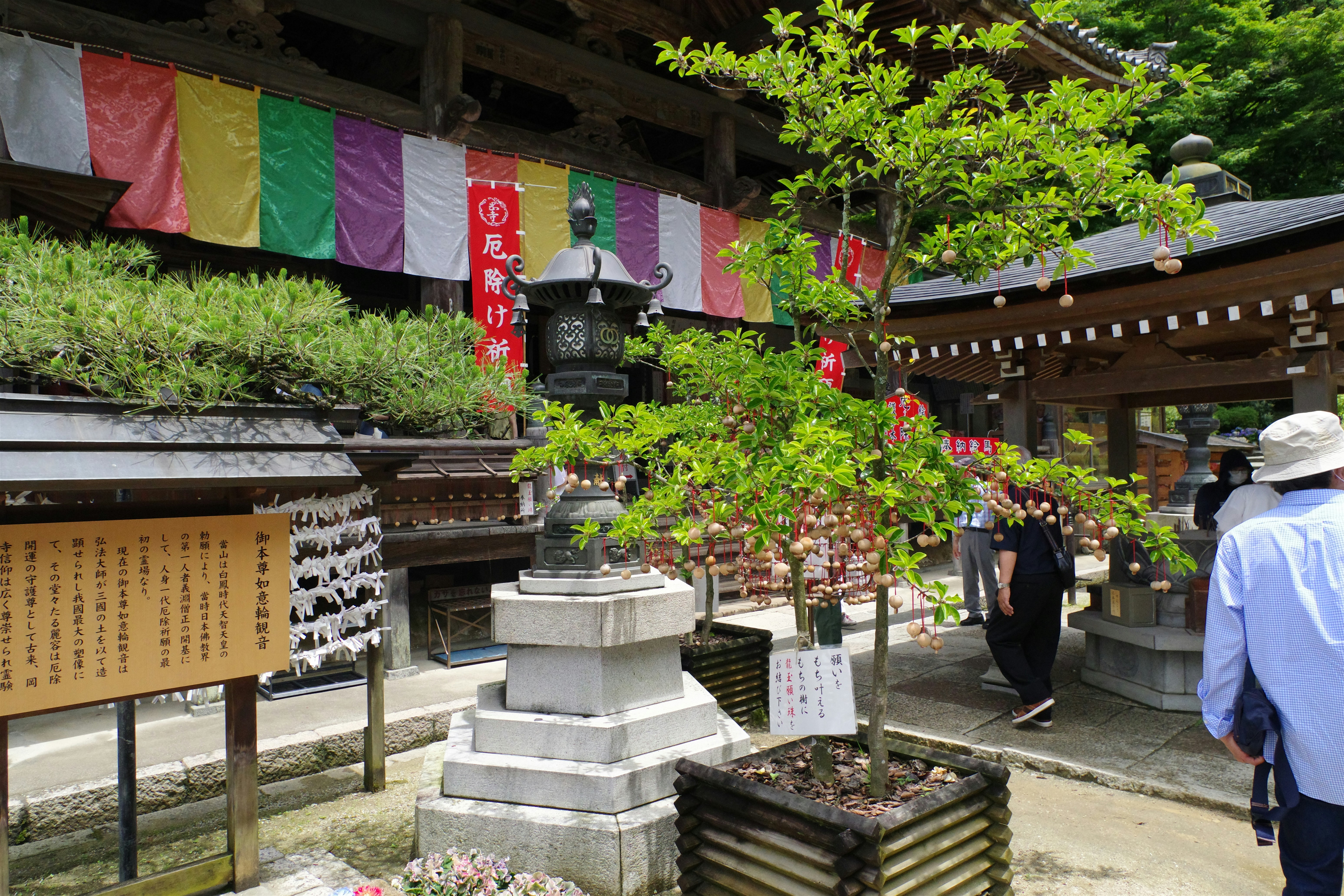 キッチンのシンクで、笑顔で洗い物をする人の後ろ姿