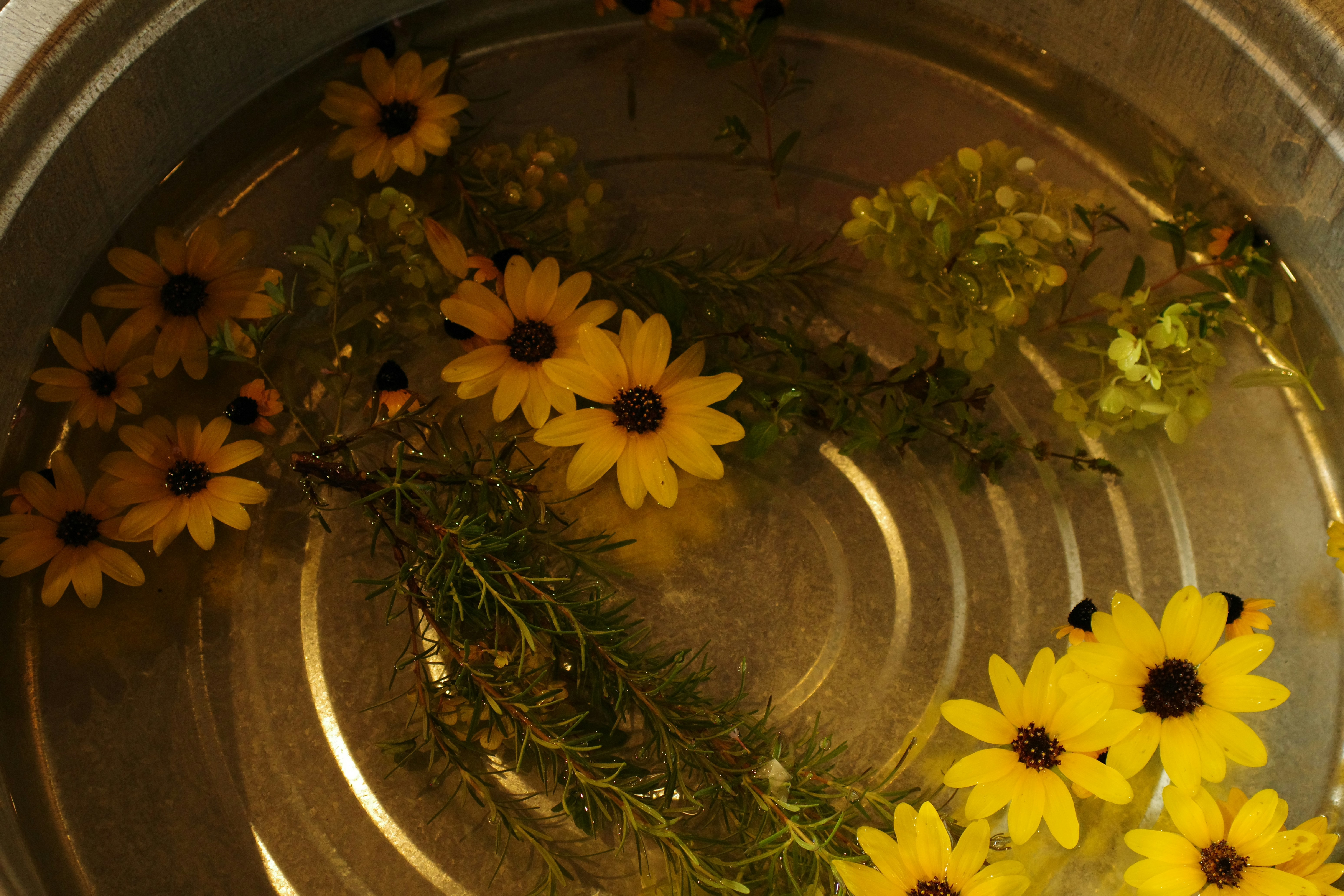 エスニック風油そばの写真