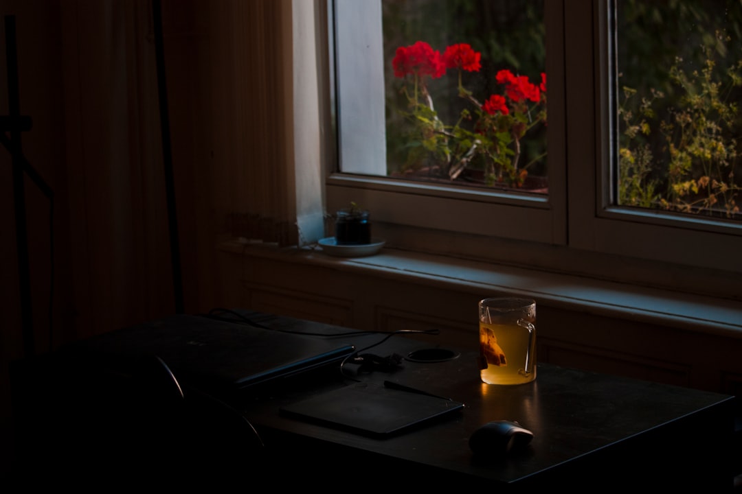 豆腐の上にカニミソが乗り、ネギと刻み海苔が散らされたカニミソ豆腐のクローズアップ写真