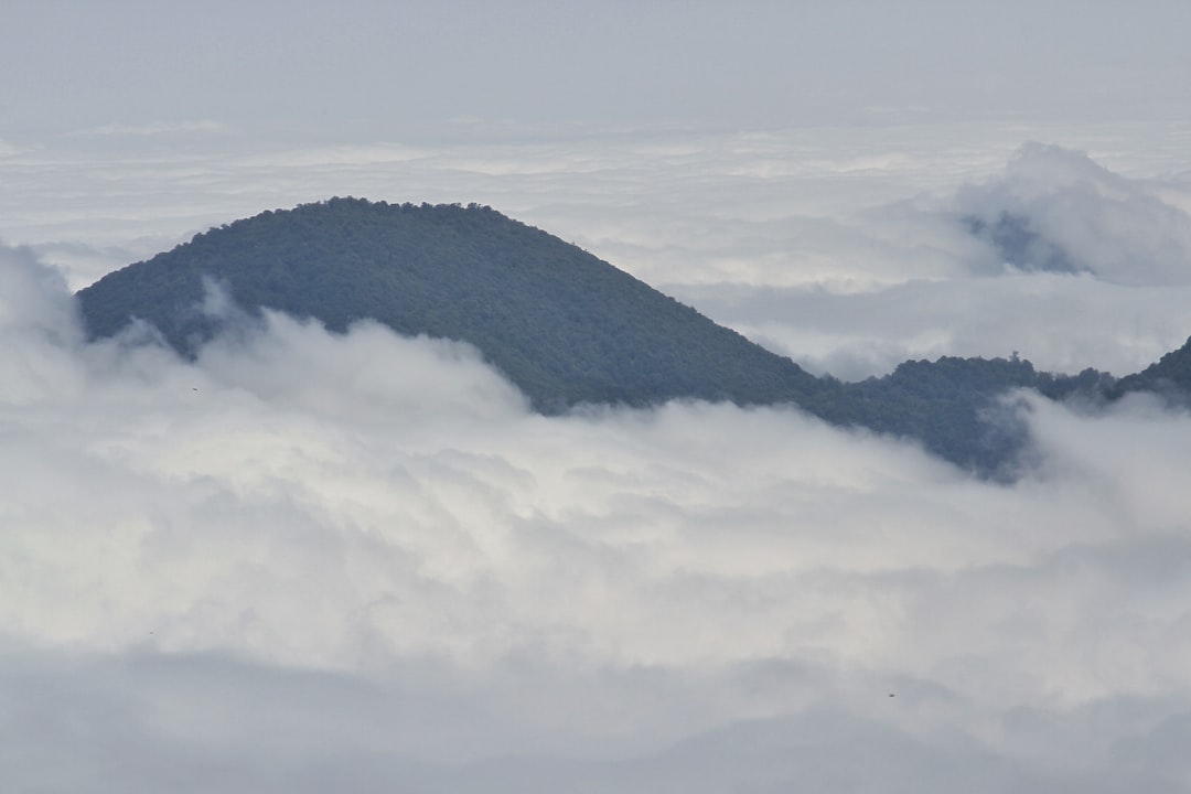 様々な種類のおつまみが並べられ、それぞれの横に日本酒のグラスが置かれている、晩酌風景の写真